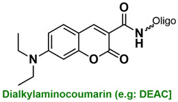 Bio-Synthesis Inc. Oligo Structure